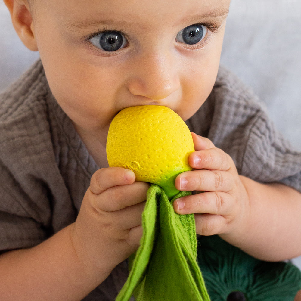 
                      
                        Mini Doudou Teether | John Lemon
                      
                    