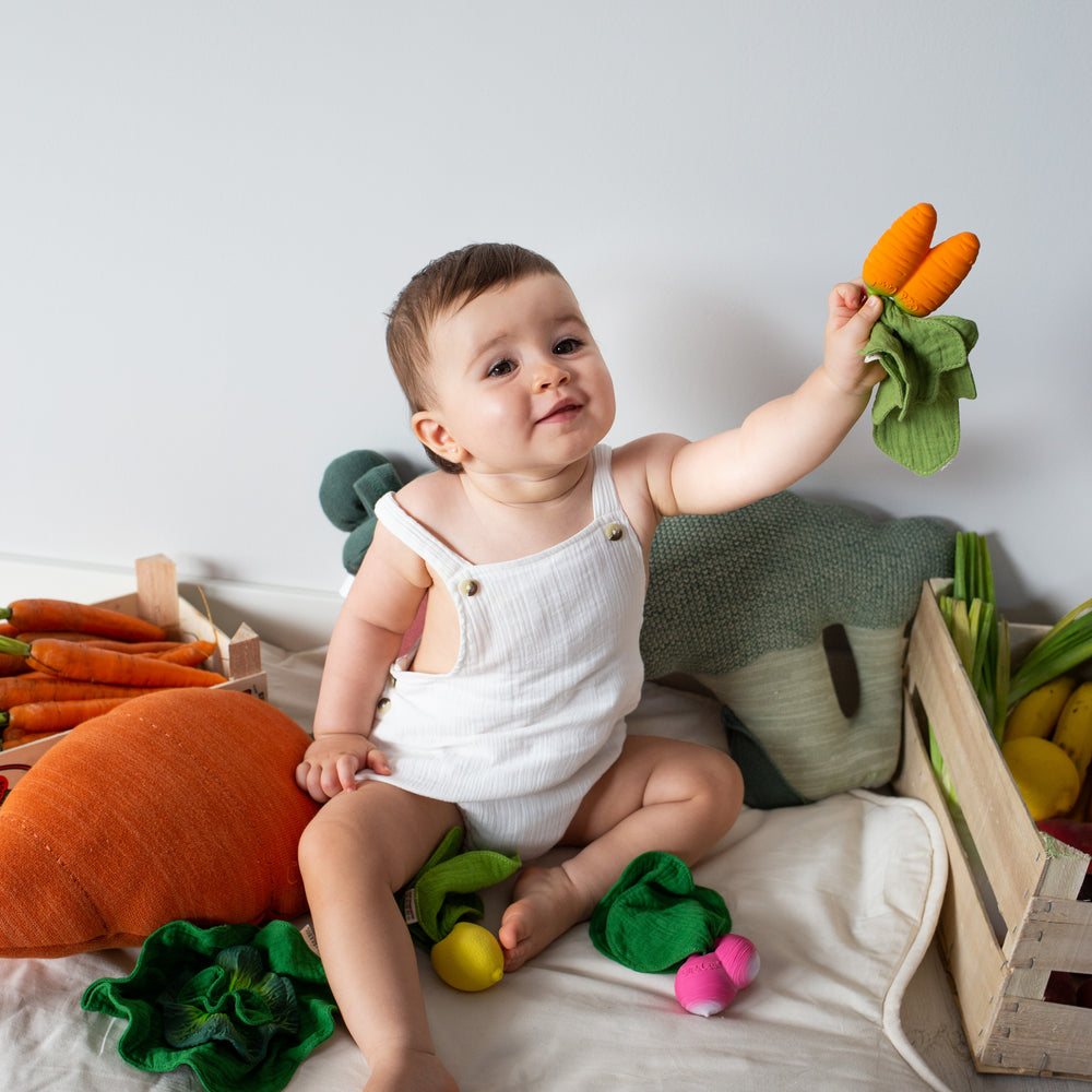 
                      
                        Mini Doudou Teether | Cathy The Carrot
                      
                    