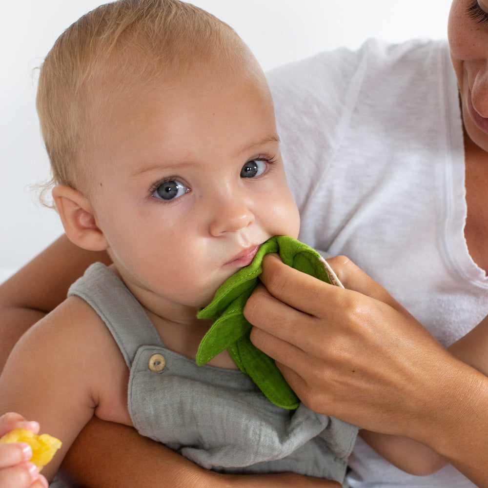 
                      
                        Mini Doudou Teether | John Lemon
                      
                    