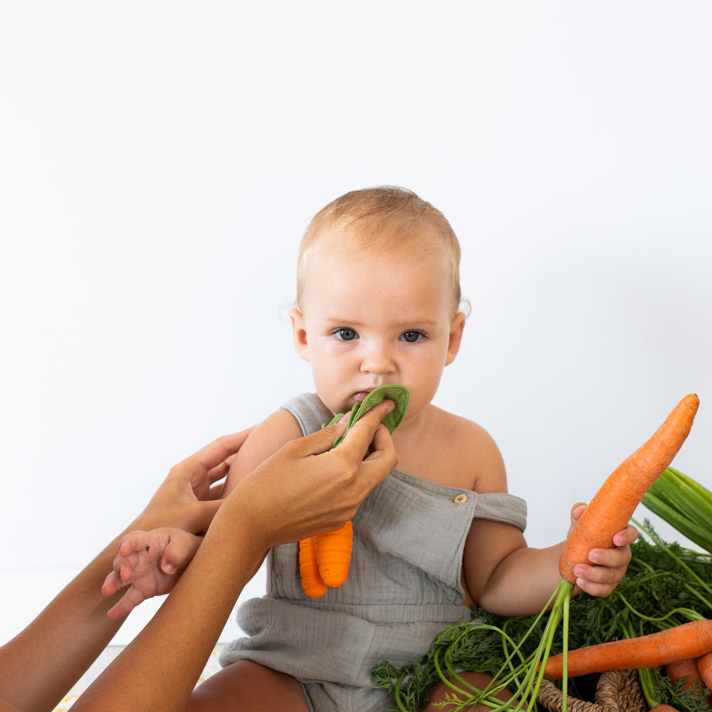 
                      
                        Mini Doudou Teether | Cathy The Carrot
                      
                    