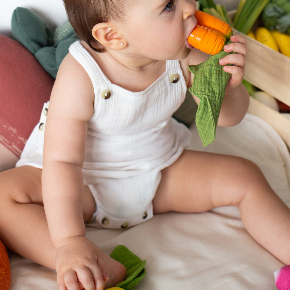 
                      
                        Mini Doudou Teether | Cathy The Carrot
                      
                    