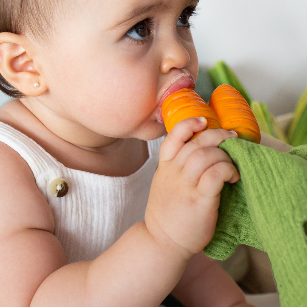 
                      
                        Mini Doudou Teether | Cathy The Carrot
                      
                    