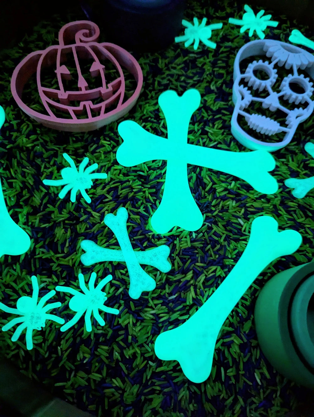 Glow In The Dark Bones