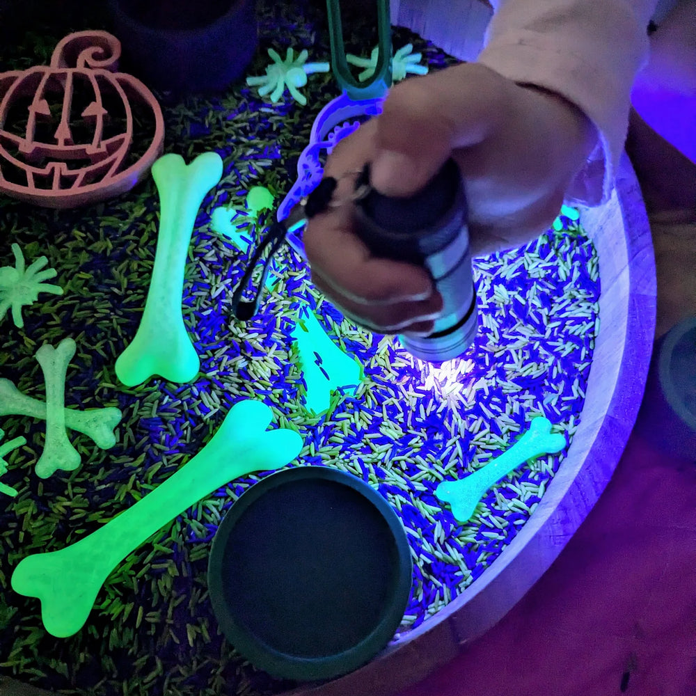 
                      
                        Glow In The Dark Bones
                      
                    