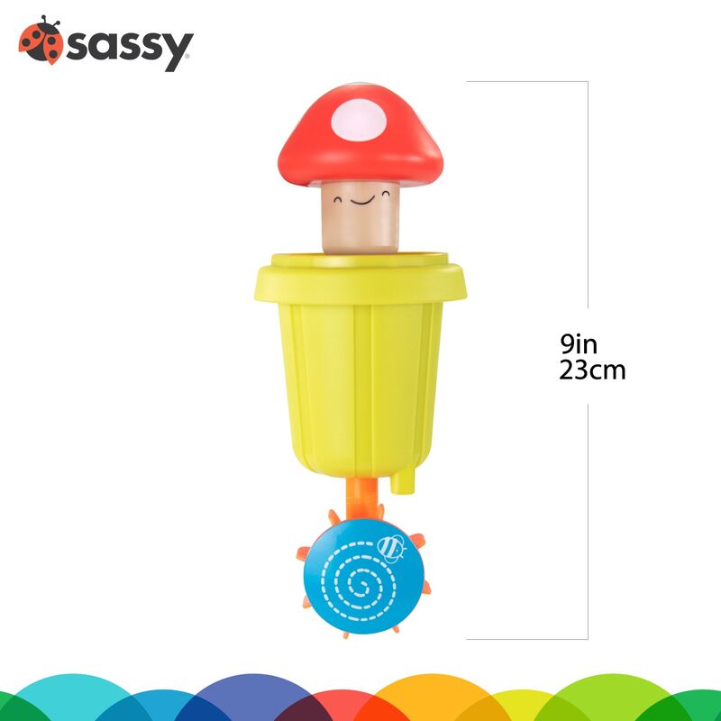 
                      
                        Water & Grow Mushroom
                      
                    