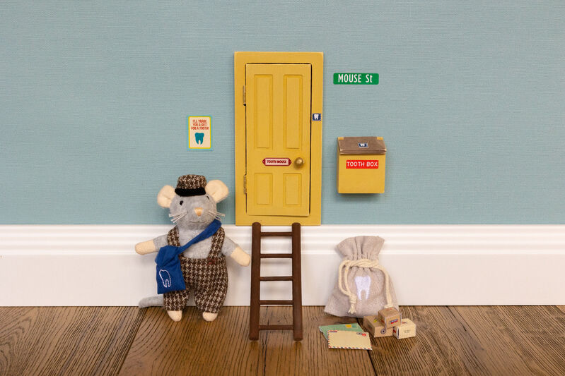 Tooth Mouse Gift Set