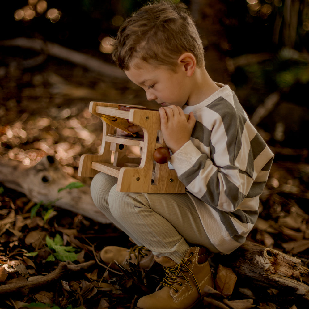 Wooden Microscope