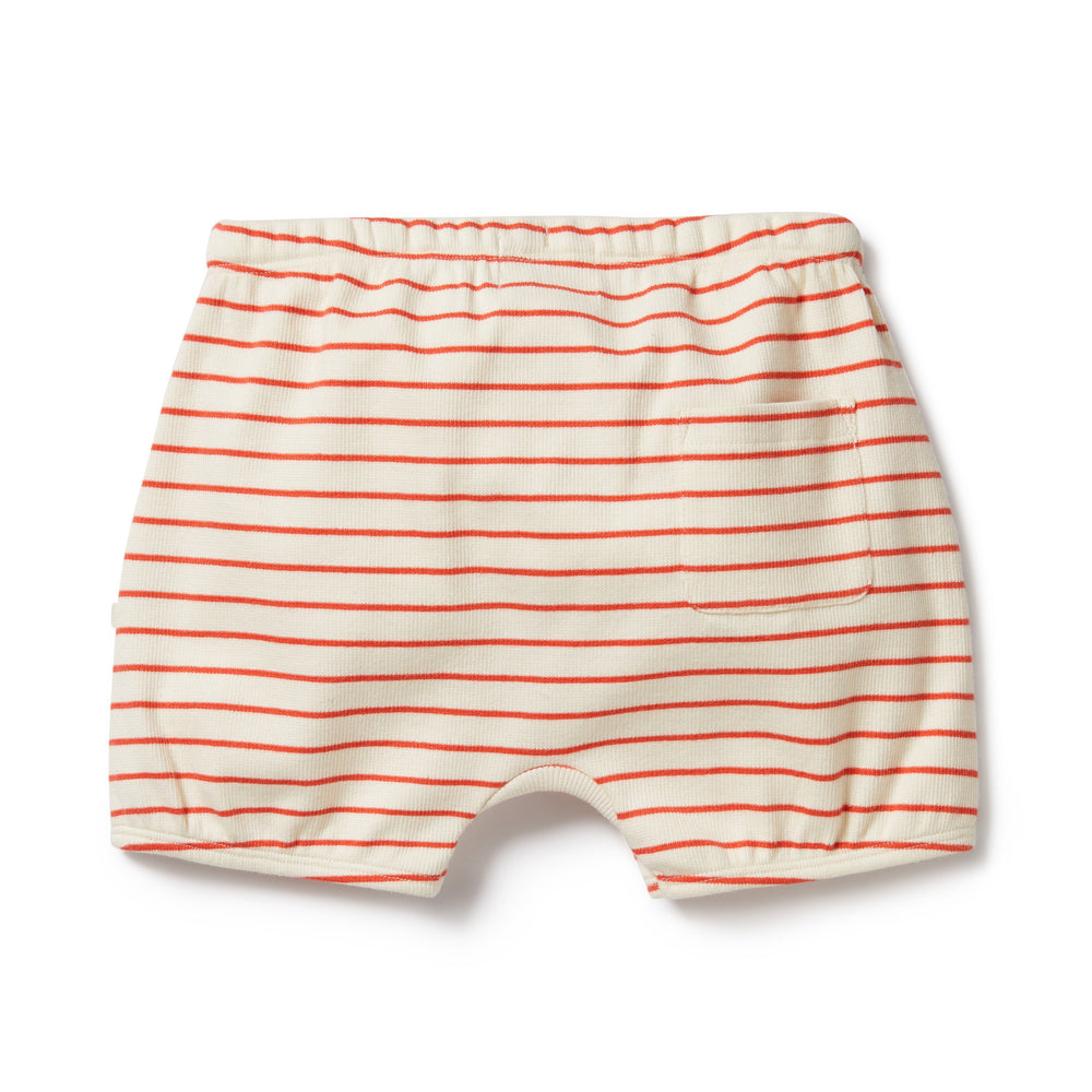 
                      
                        Petit Rouge Organic Bloomer Short | Big Kids
                      
                    