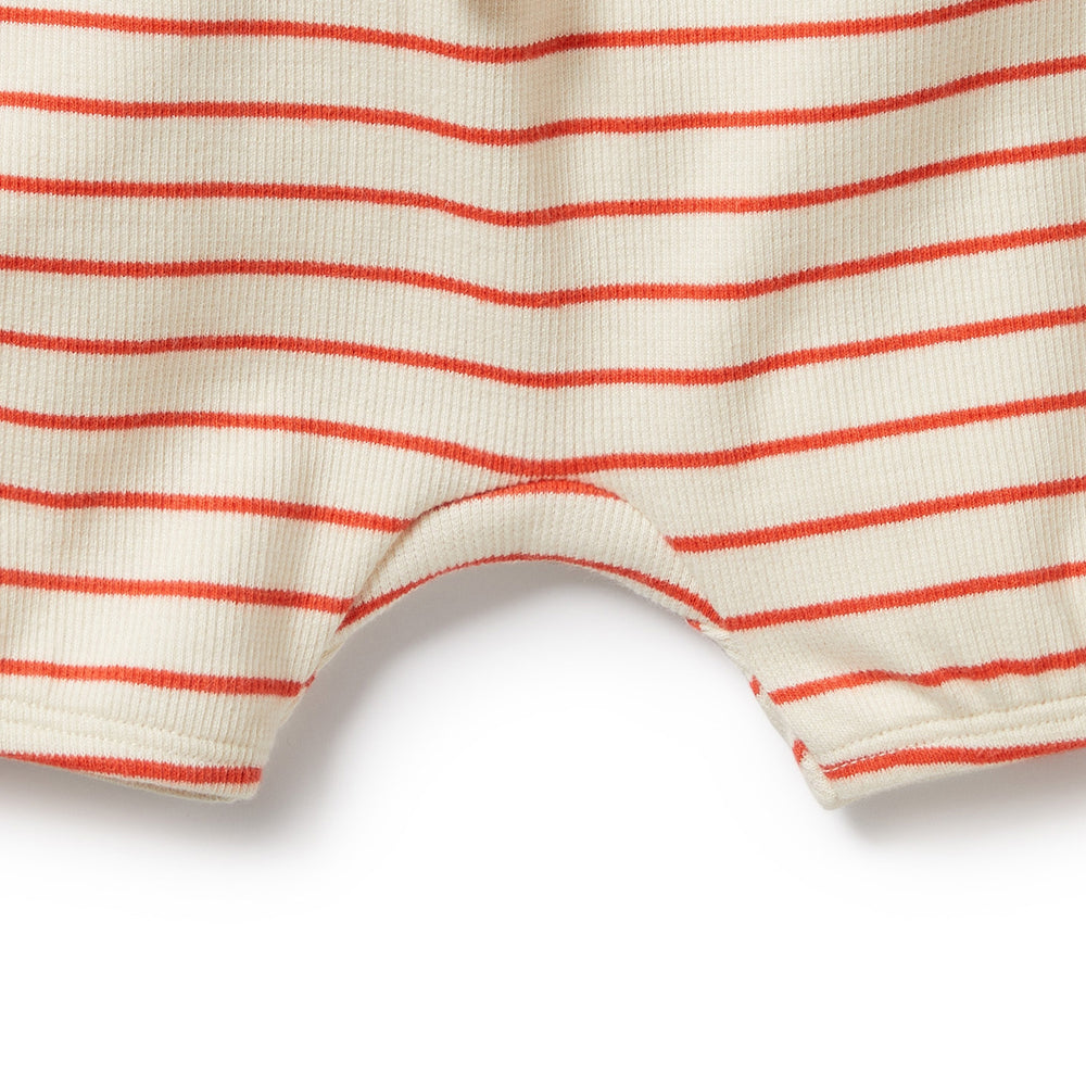 
                      
                        Petit Rouge Organic Bloomer Short | Big Kids
                      
                    