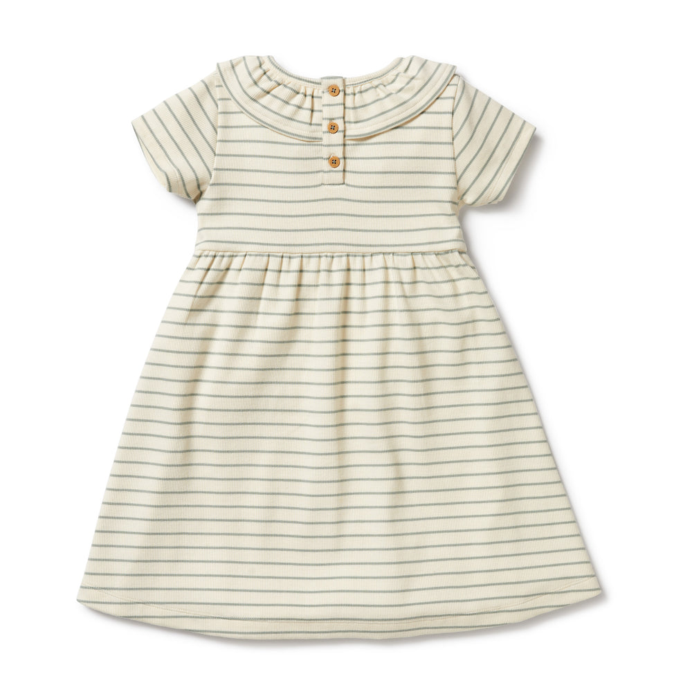 
                      
                        Petit Sage Organic Ruffle Dress | Big Kids
                      
                    