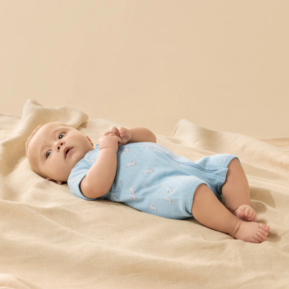 Sunny Seagulls Pointelle Organic Boyleg Zipsuit
