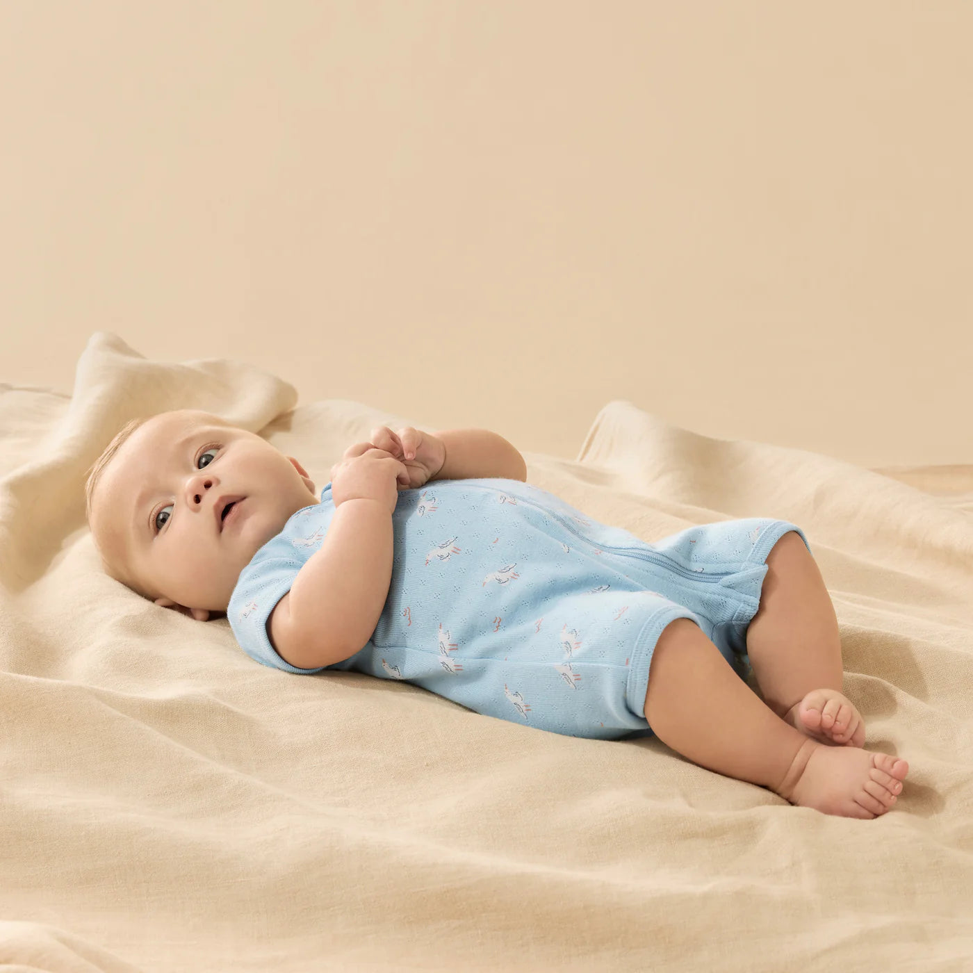 Sunny Seagulls Pointelle Organic Boyleg Zipsuit