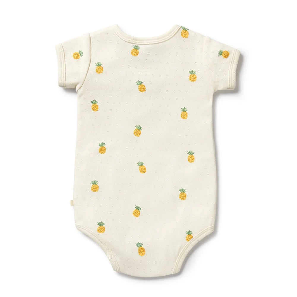 
                      
                        Piney Pals Organic Pointelle Henley Body Suit
                      
                    