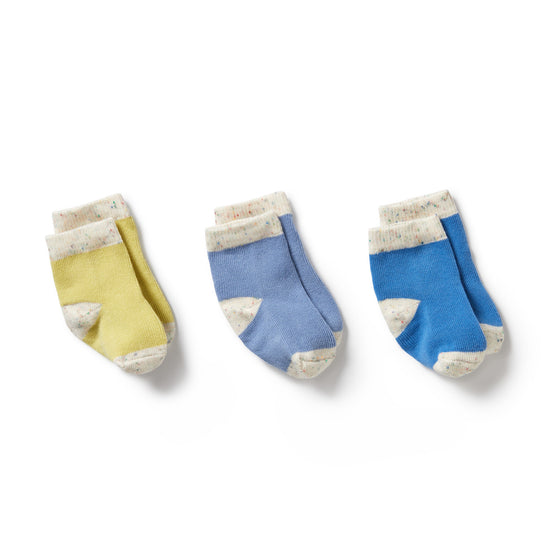 Organic 3 Pack Baby Socks | Endive, Bluebell & Blue