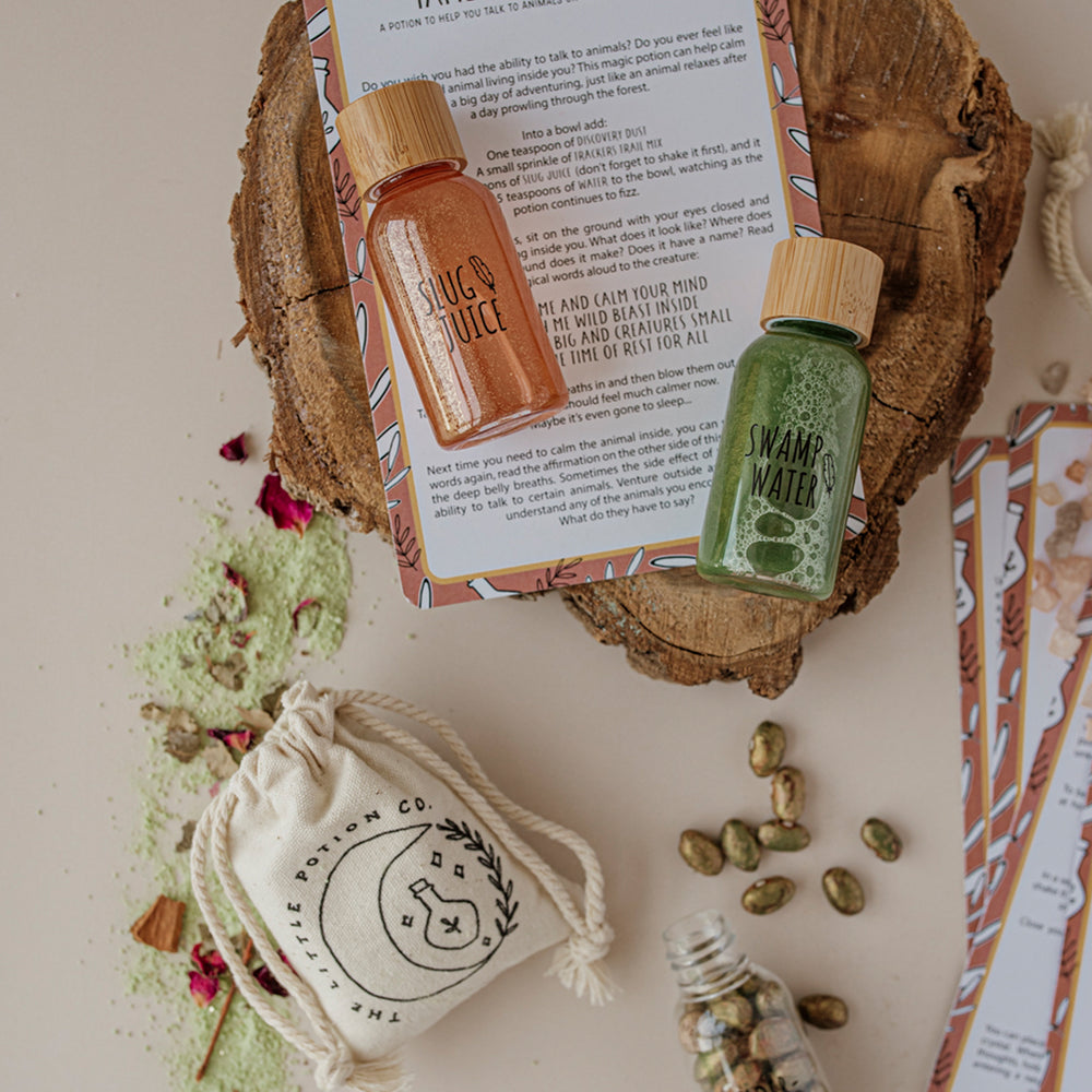 
                      
                        Mindful Potion Kit | Wild Adventure
                      
                    