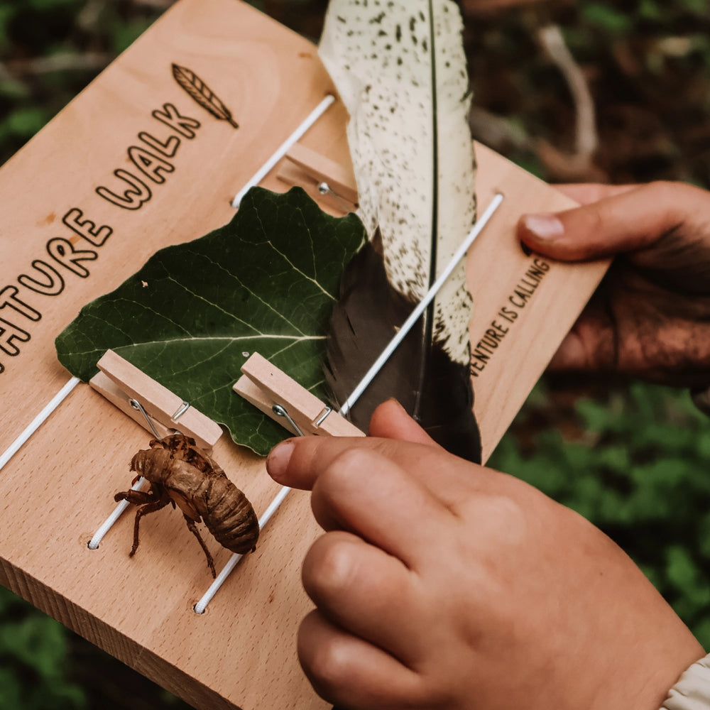 Nature Board