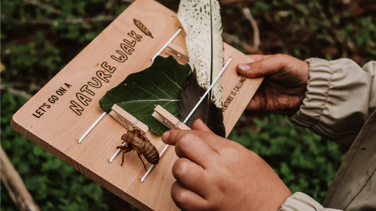 Nature Board
