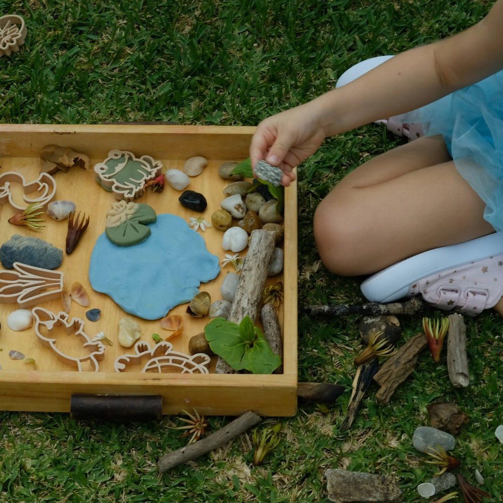 
                      
                        Pond Life Eco Playdough Cutter
                      
                    