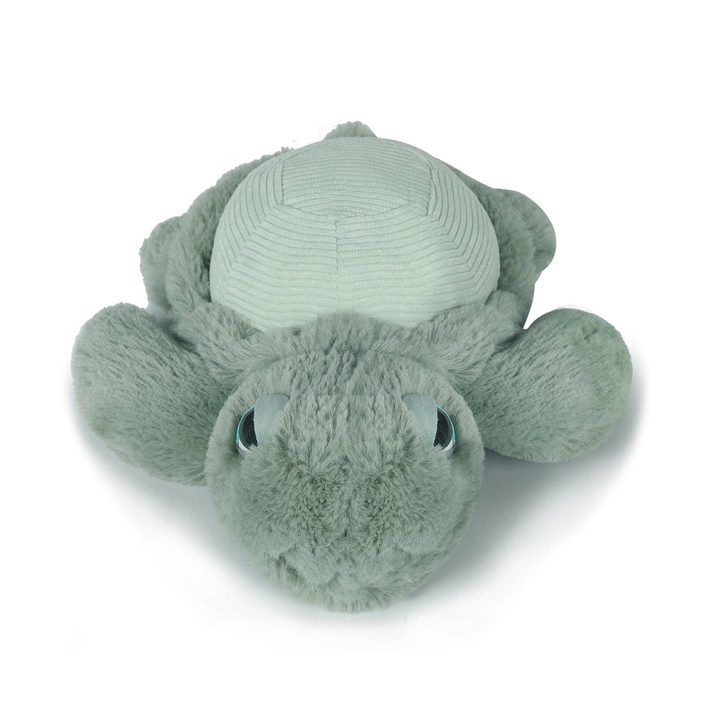 
                      
                        Little Tyler Turtle Soft Toy
                      
                    