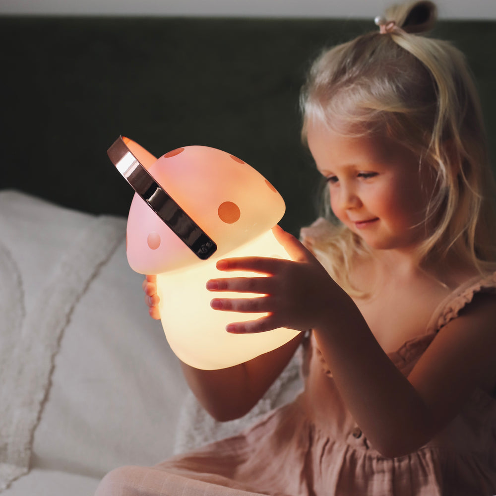 
                      
                        Fairy Carry Lantern | Pink & Rose Gold
                      
                    