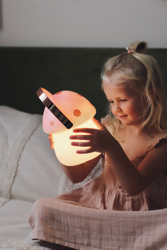 Load image into Gallery viewer, Fairy Carry Lantern | Pink &amp;amp; Rose Gold
