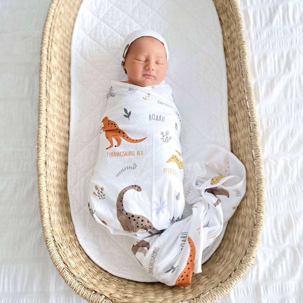 Dino Land Swaddle Set