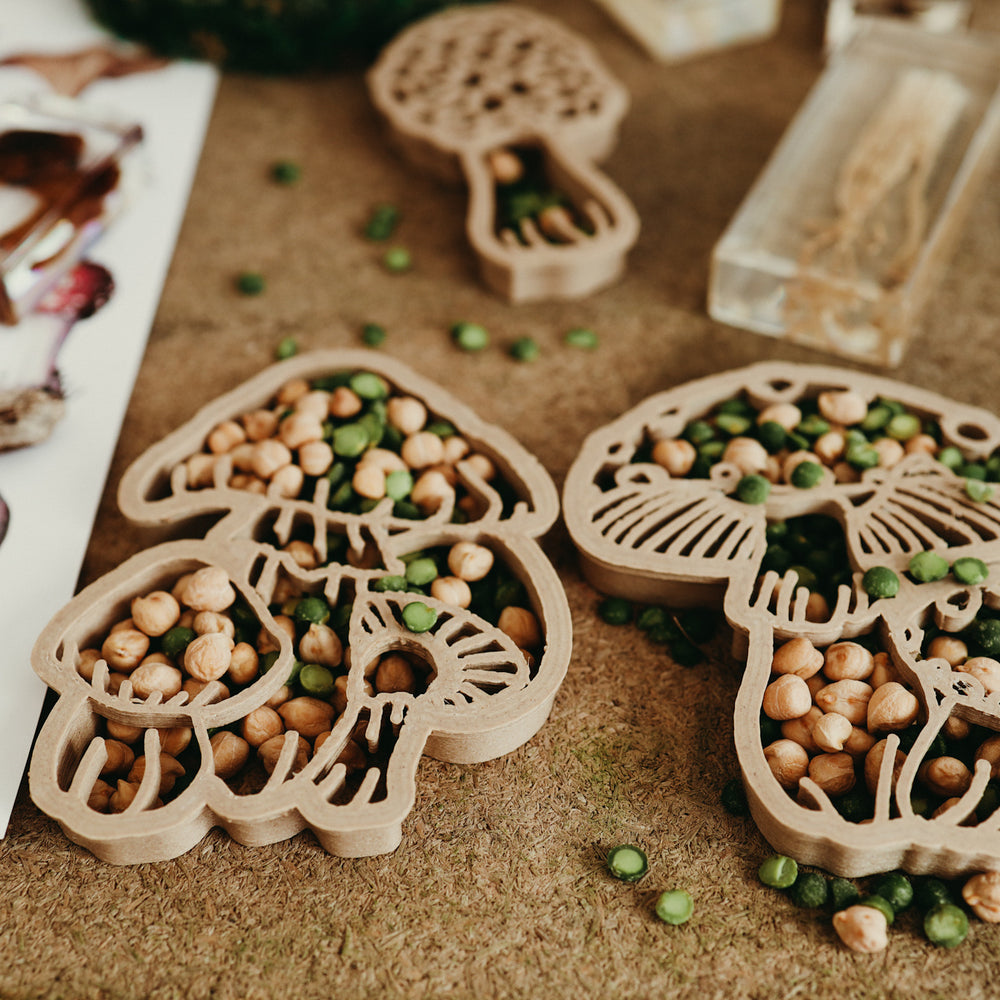 
                      
                        Eco Cutter | Field Mushroom
                      
                    