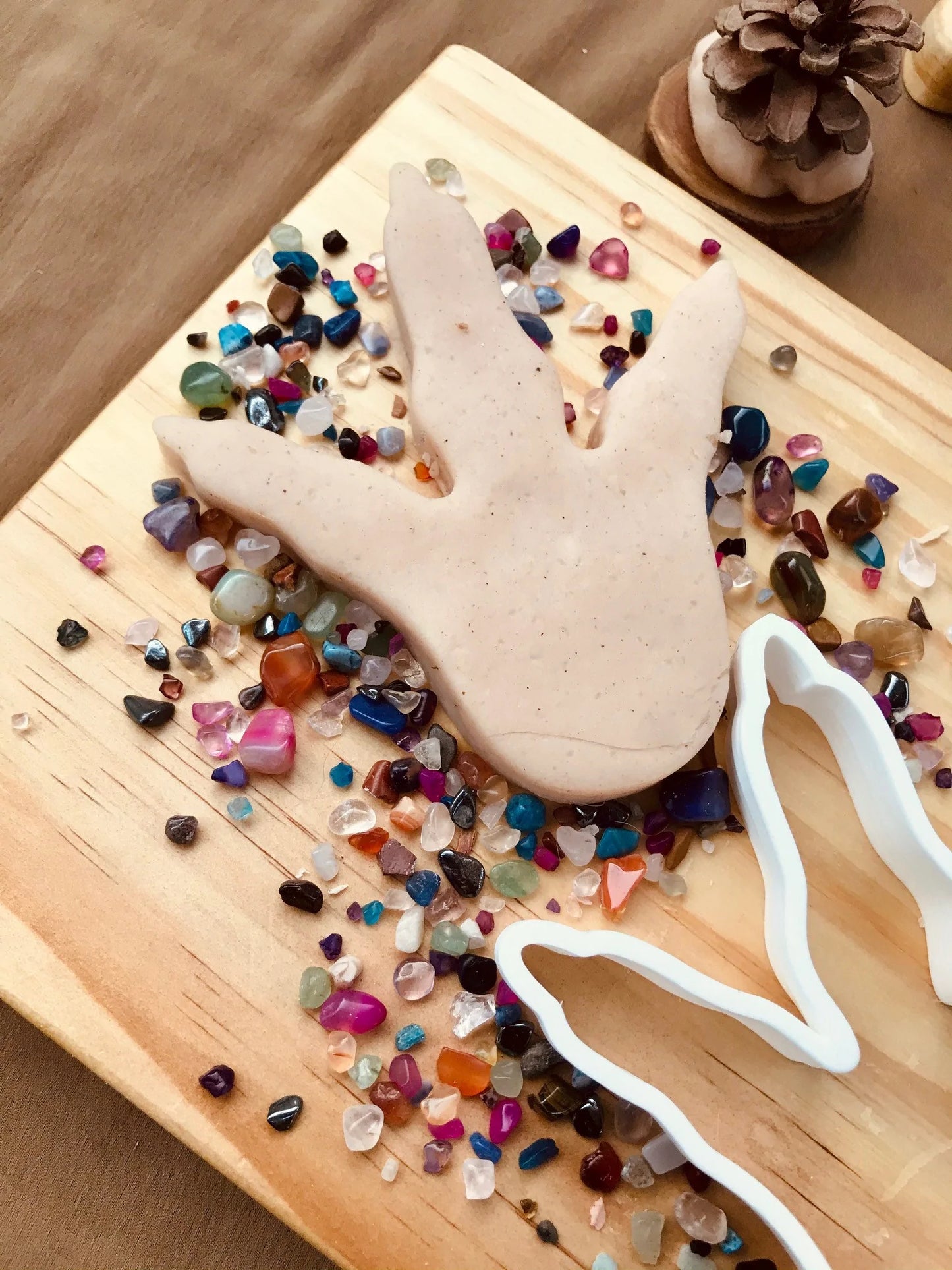Bio Cutter | Dinosaur Footprint