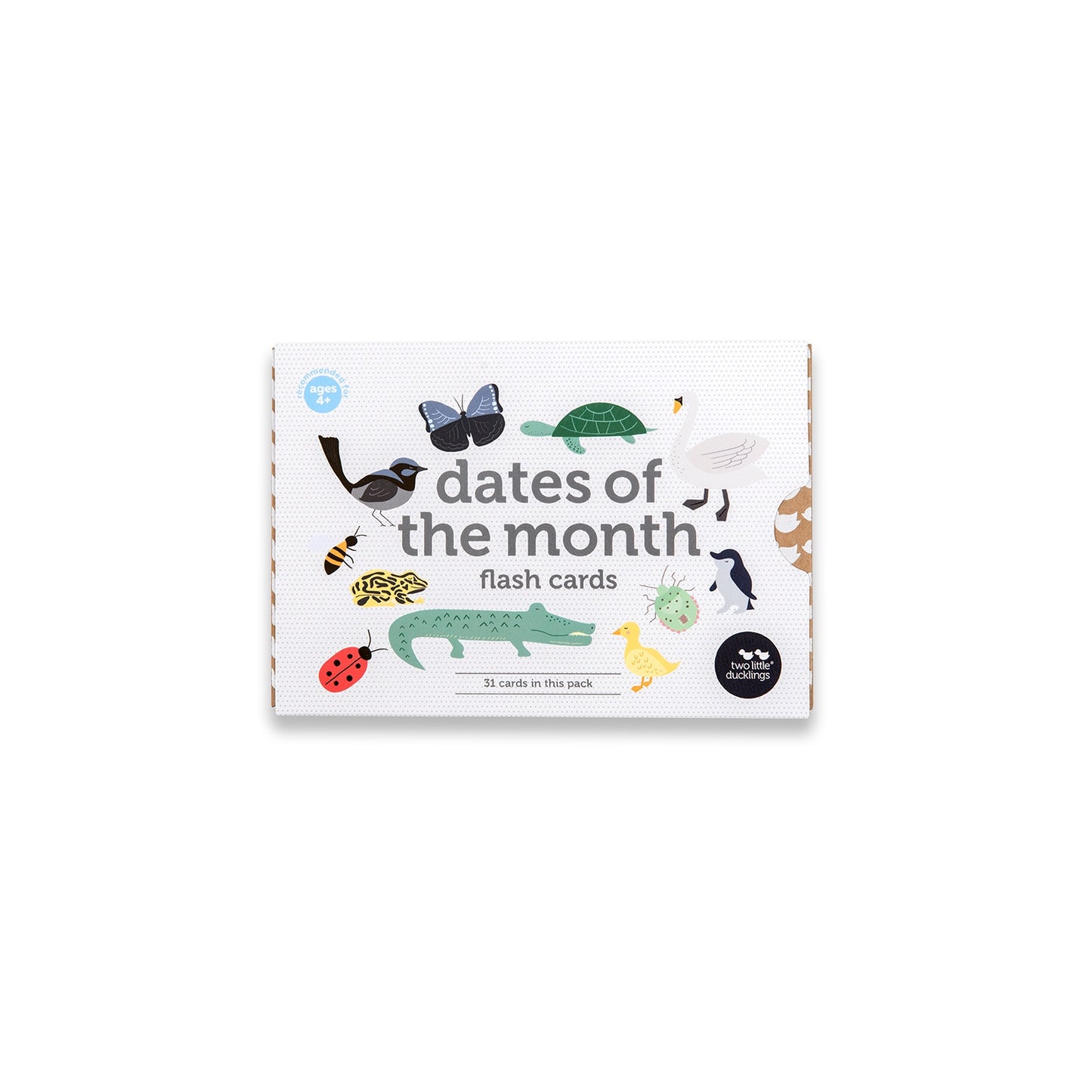 Dates of the Month | Flash Cards