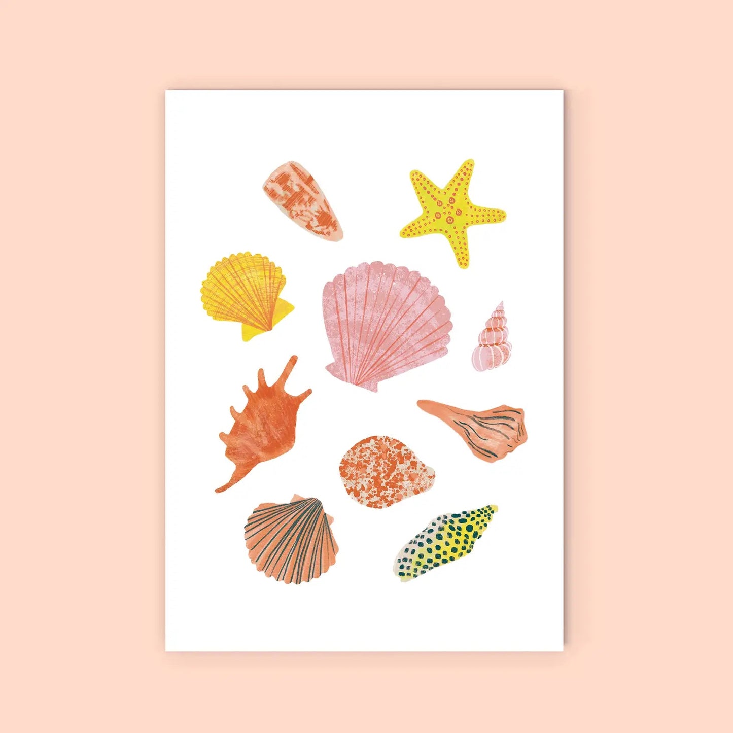 Greeting Card | Seashells