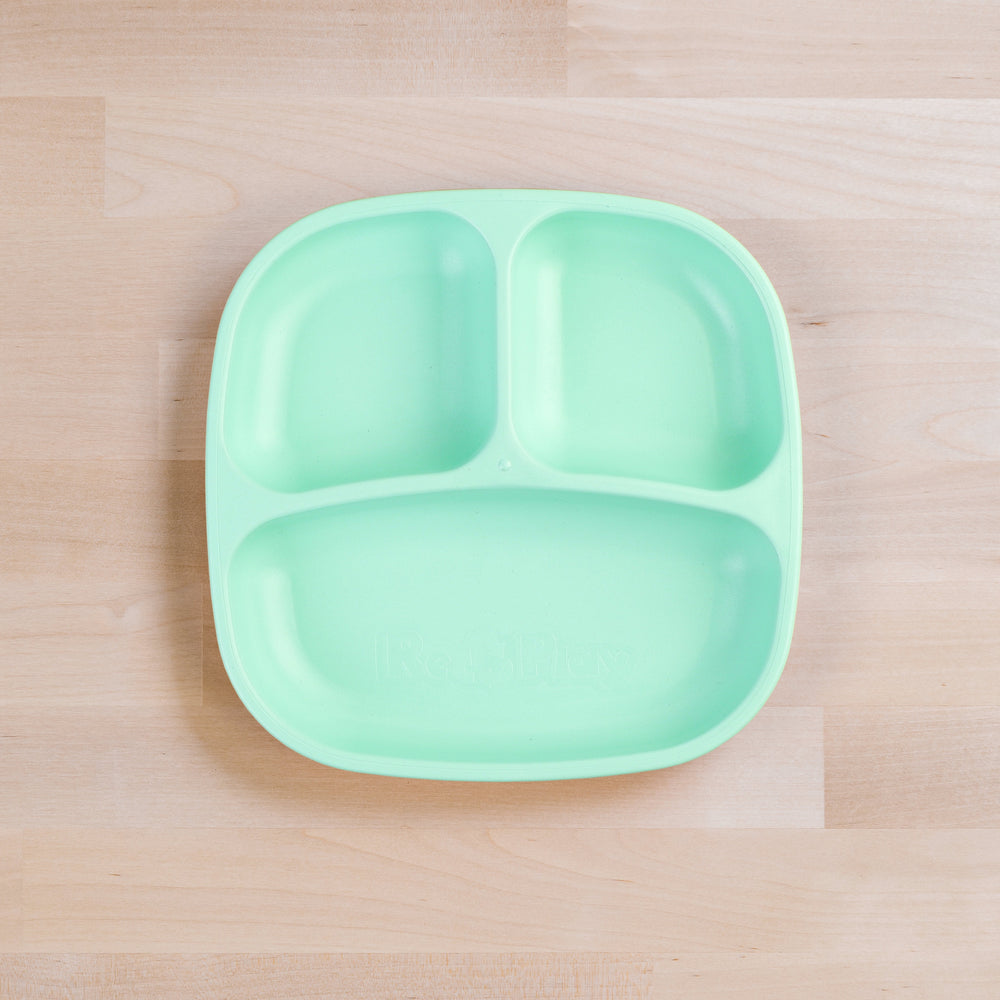 Divided Plate | Mint