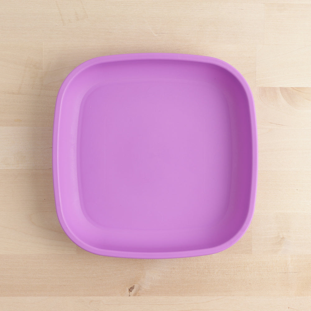 Large Flat Plate | Purple