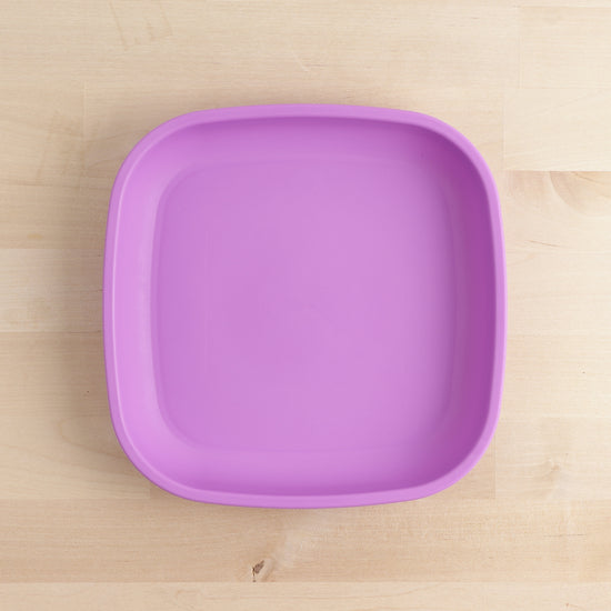 Load image into Gallery viewer, Large Flat Plate | Purple
