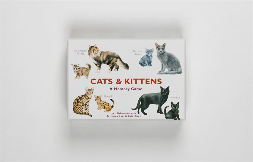 A Memory Game | Cats & Kittens