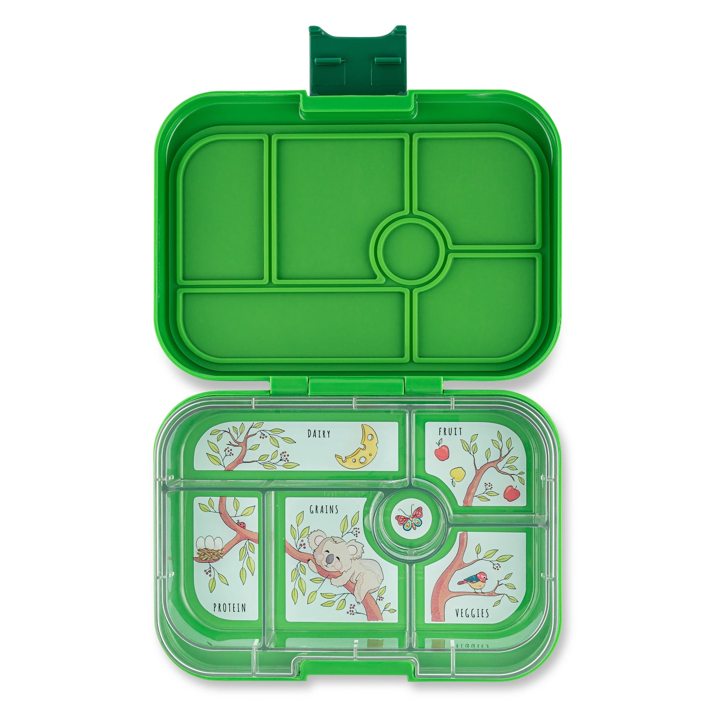 Original Bento Lunchbox | Bamboo Green | Koala Tray