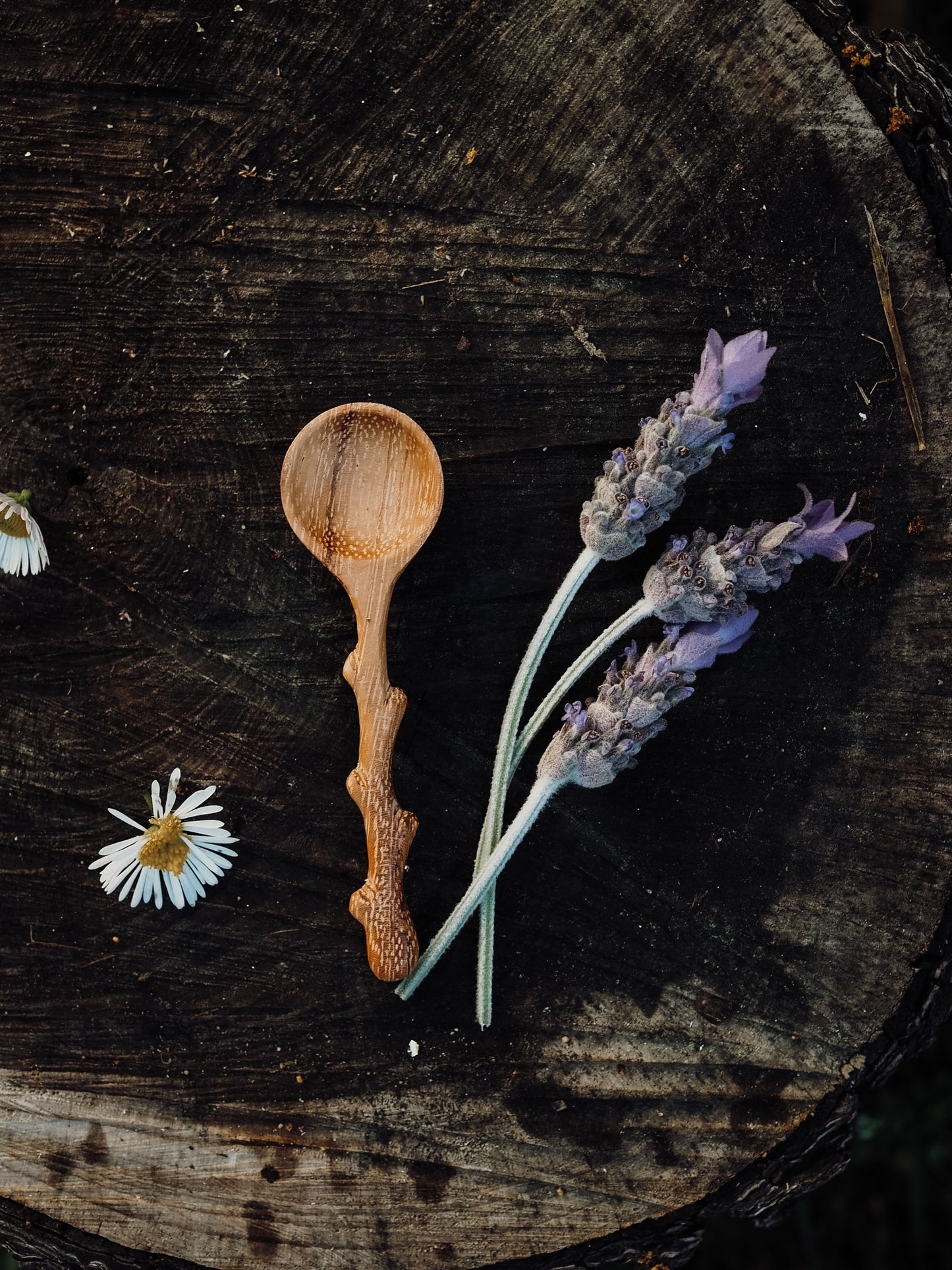 Branchling | Mini Branch Spoon