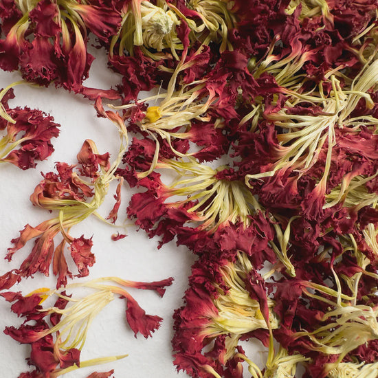 Delightful Dried Flowers | Classy Carnation
