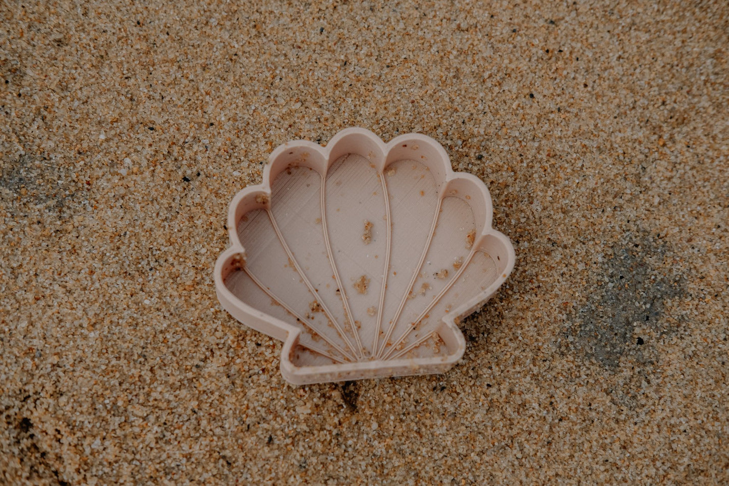 Eco Mould | Sea Shell