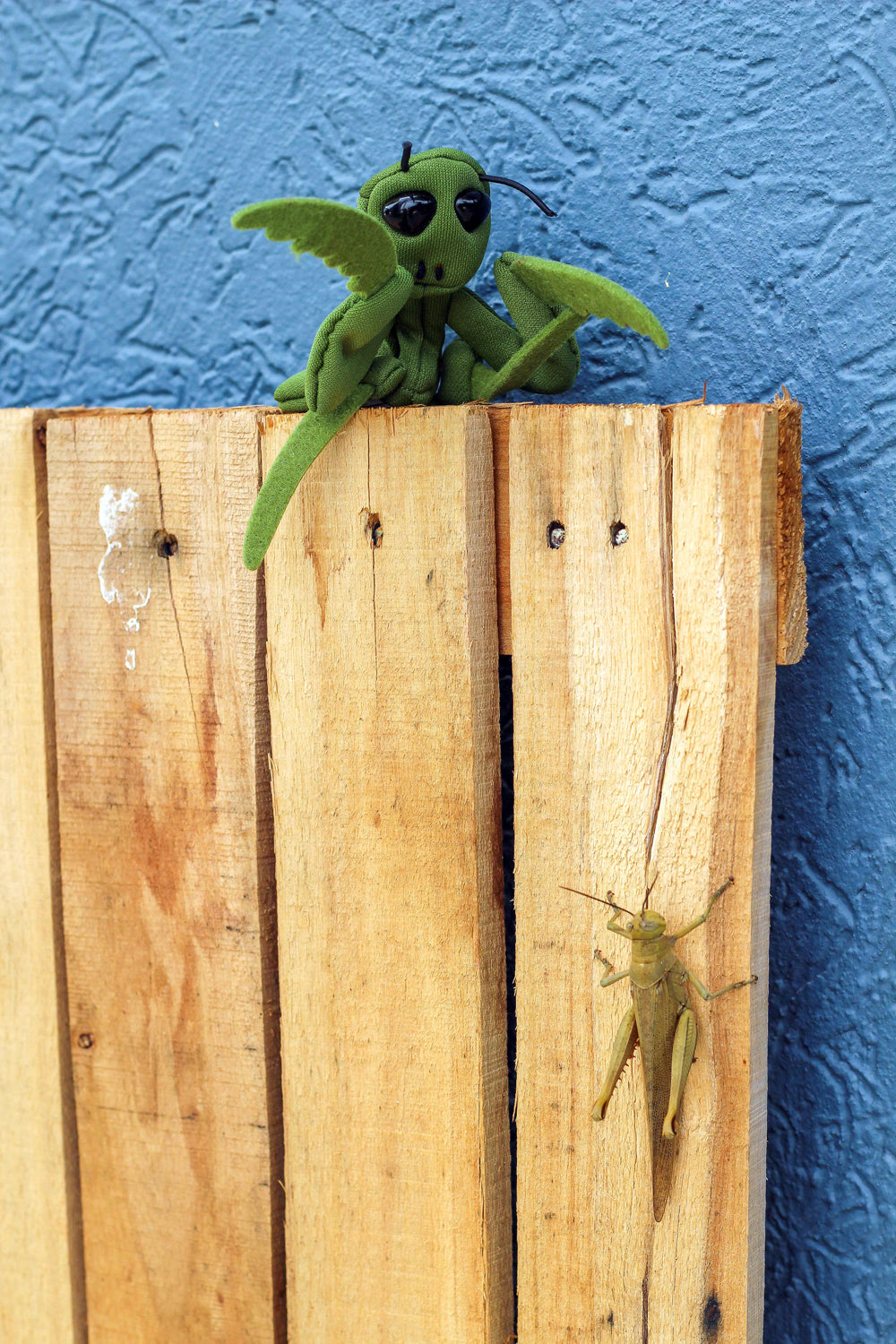 Finger Puppet | Praying Mantis