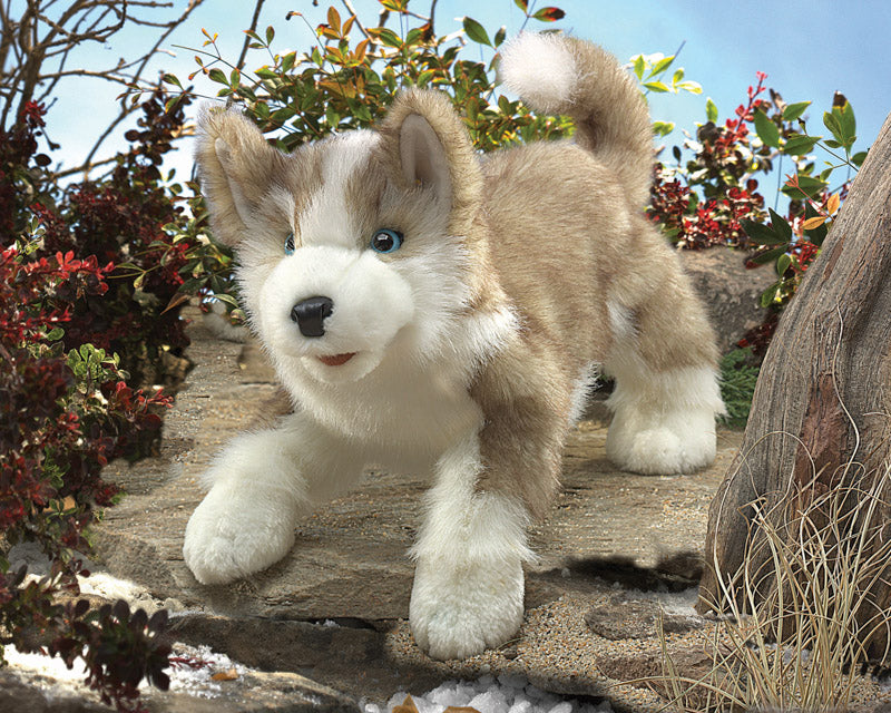
                      
                        Puppet | Wolf Pup
                      
                    