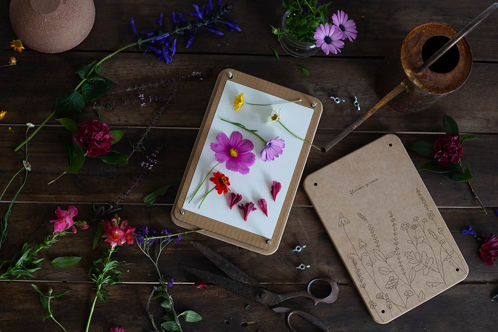 
                      
                        Flower Press | Giant Wild Flower
                      
                    