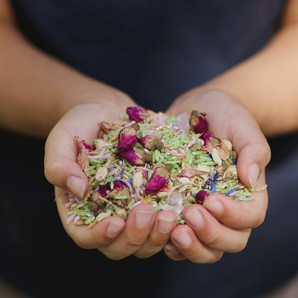 
                      
                        Curated Merriment | Fairy Field
                      
                    