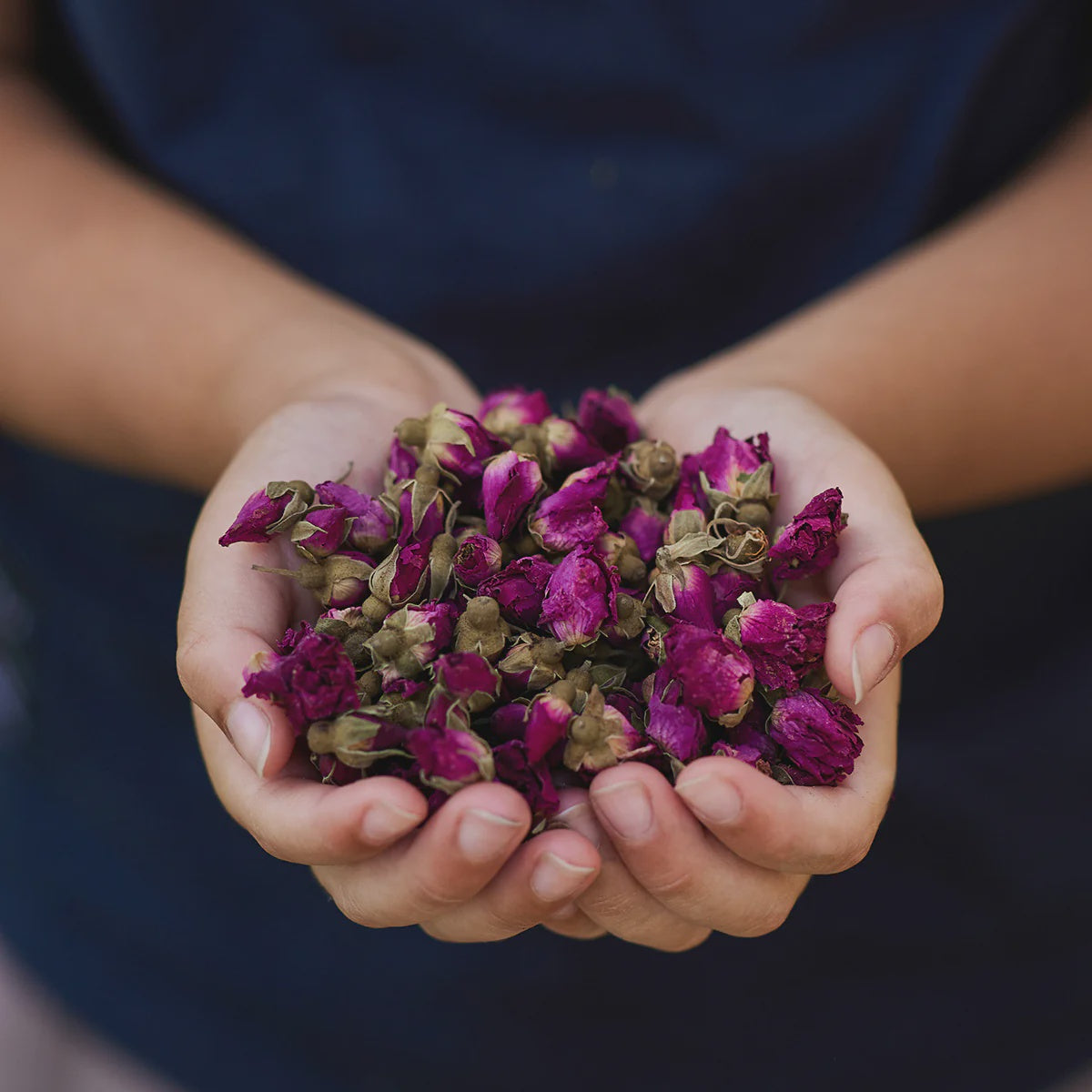 Delightful Dried Flowers | Radiant Roses