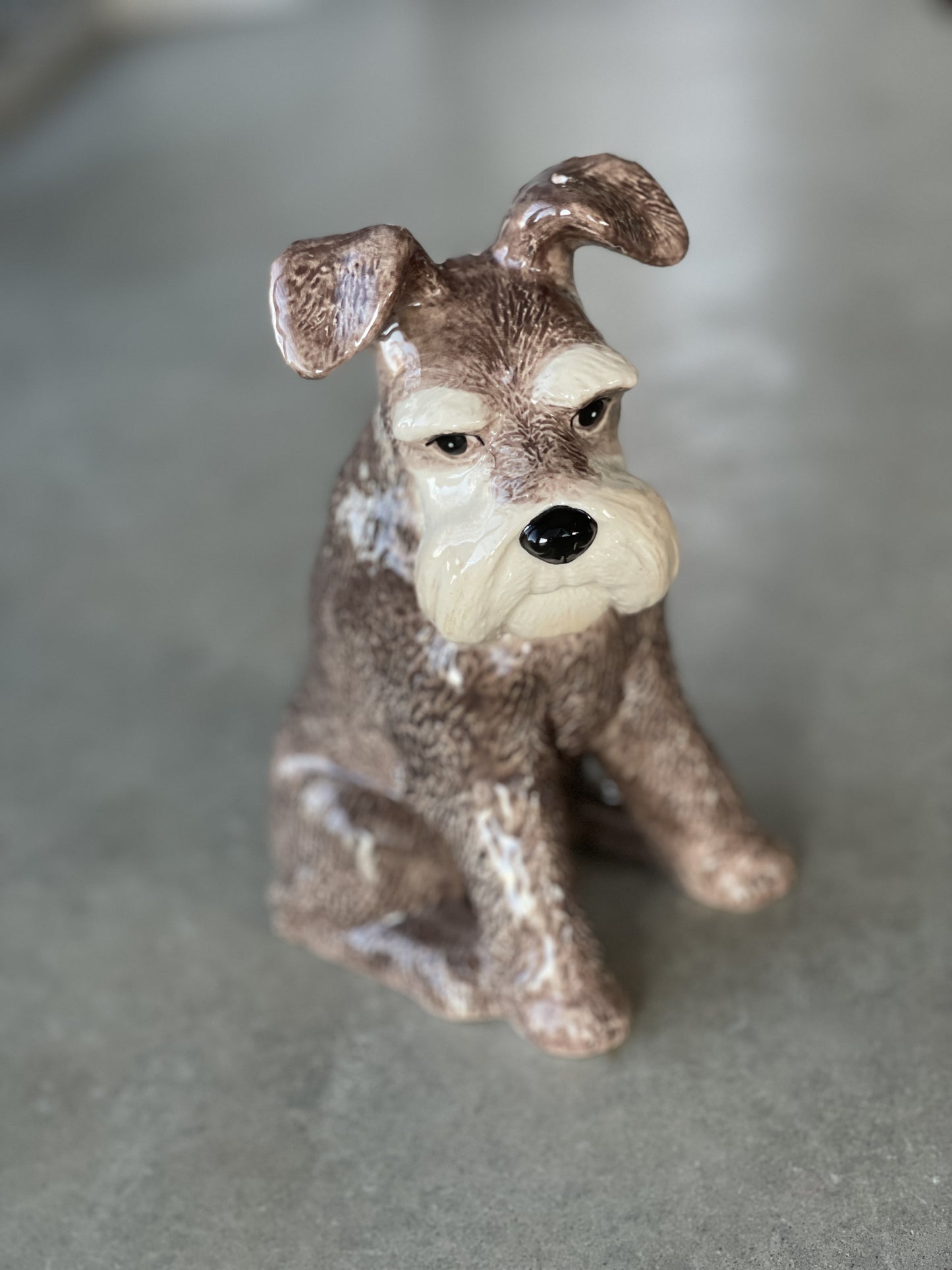 Ceramic Money Box | Schnauzer