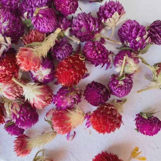 Delightful Dried Flowers | Alluring Amaranth
