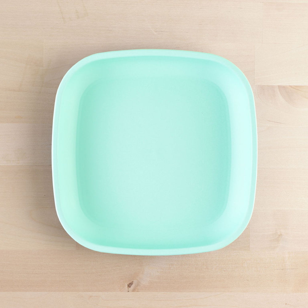 Flat Plate | Mint