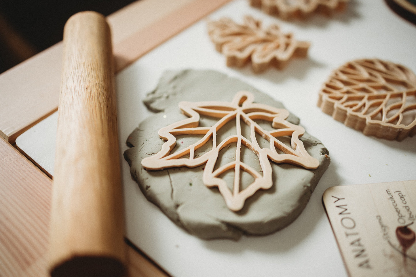 Eco Cutter Set | Leaf