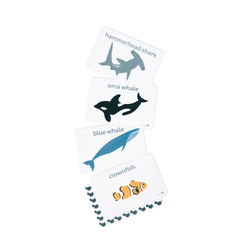 
                      
                        Sea Life | Flash Cards
                      
                    