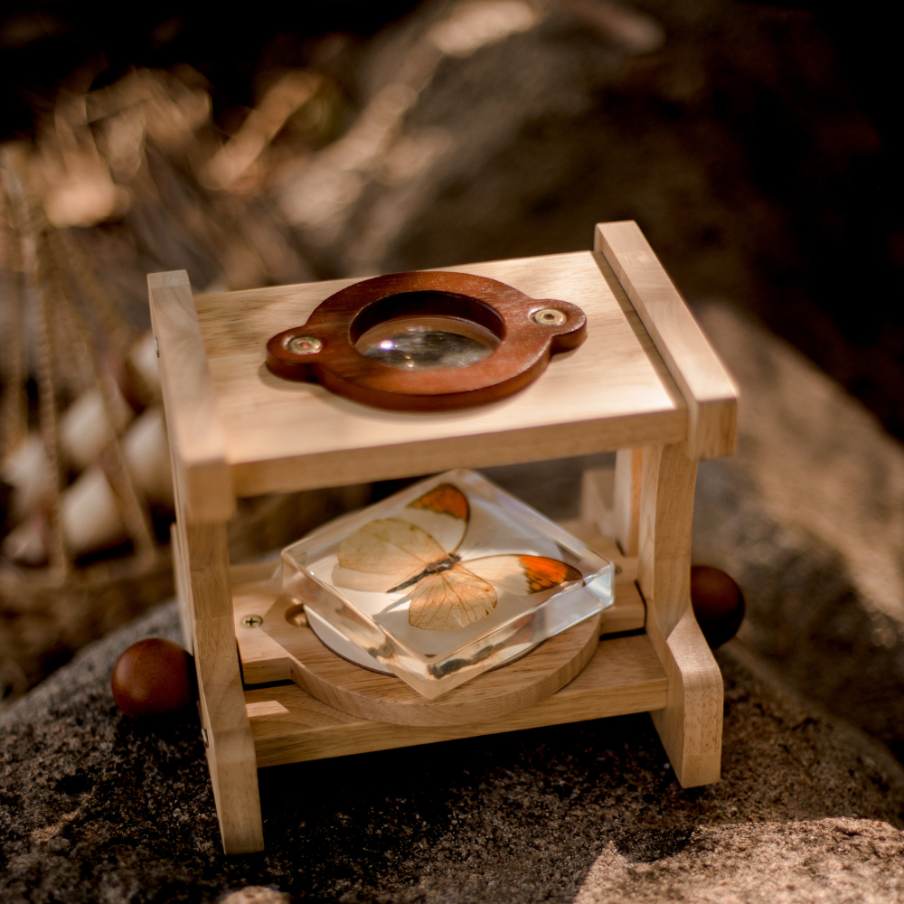 Wooden Microscope