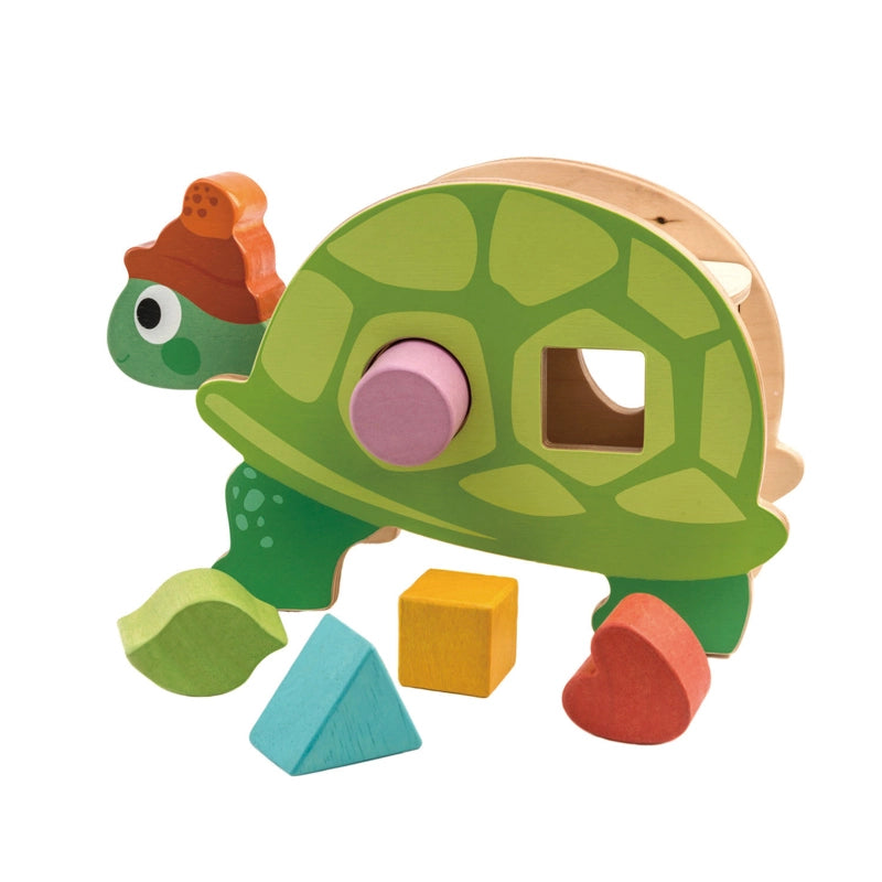 Shape Sorter | Wooden Tortoise